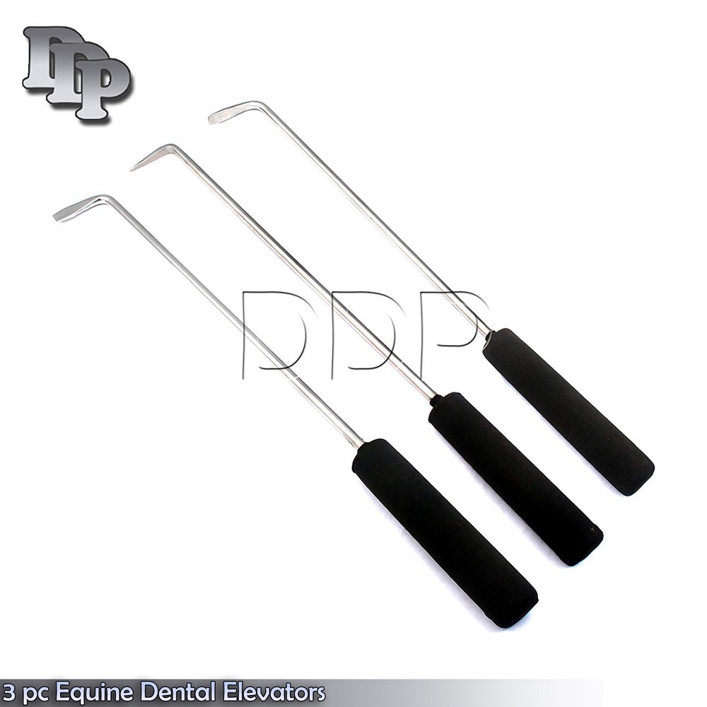 3 pc Equine Dental Elevators Veterinary Instruments VT-136