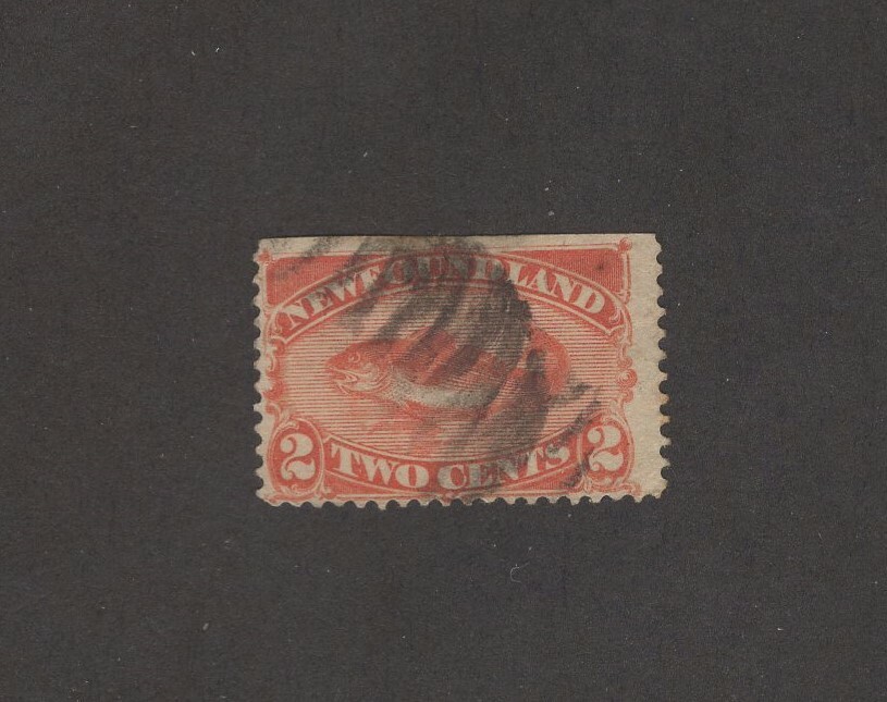 Newfoundland Scott 48 - Codfish. 2 Cent.Single. Used.  #02 NEWF48c