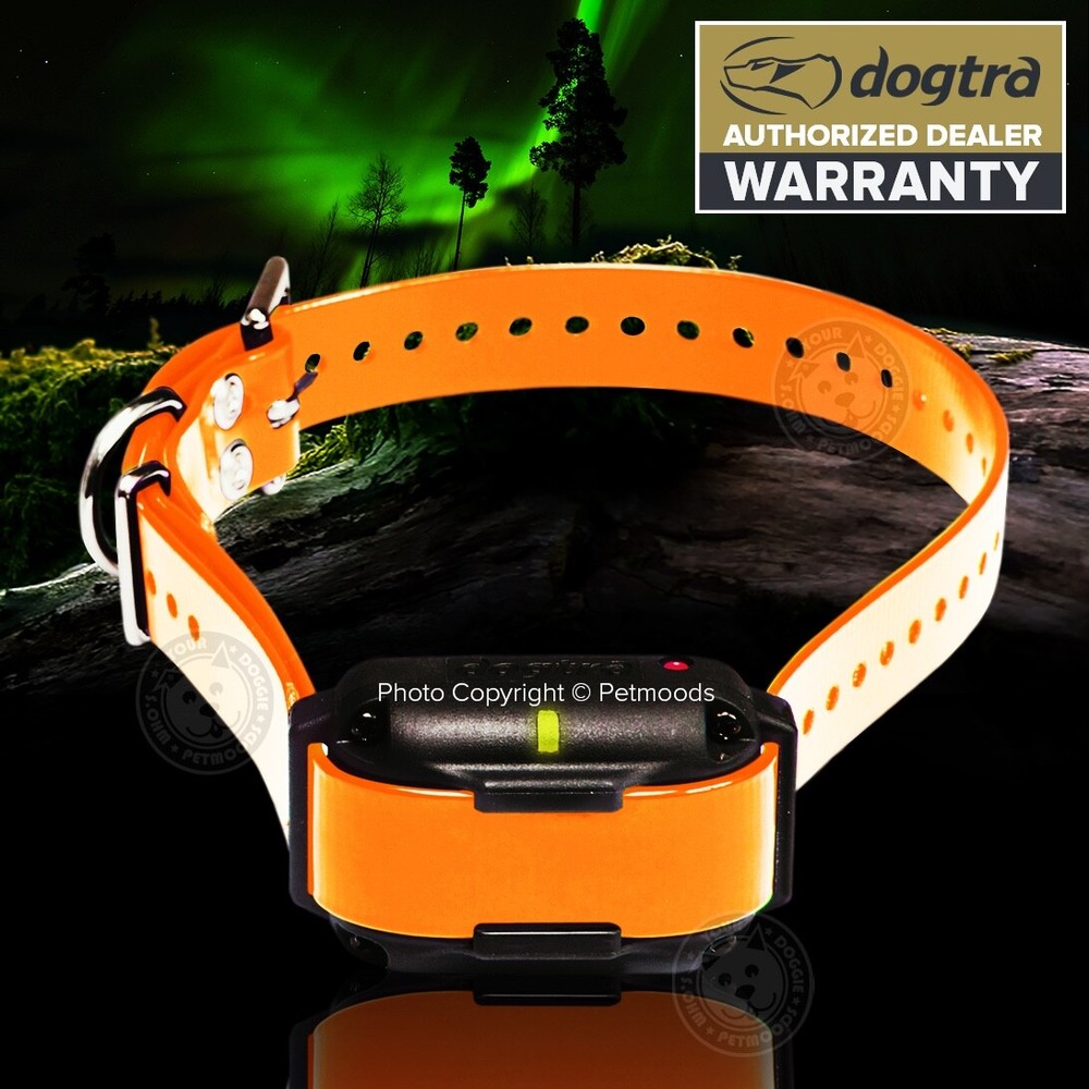 Dogtra Edge RT Dog Collar Receiver Orange Strap