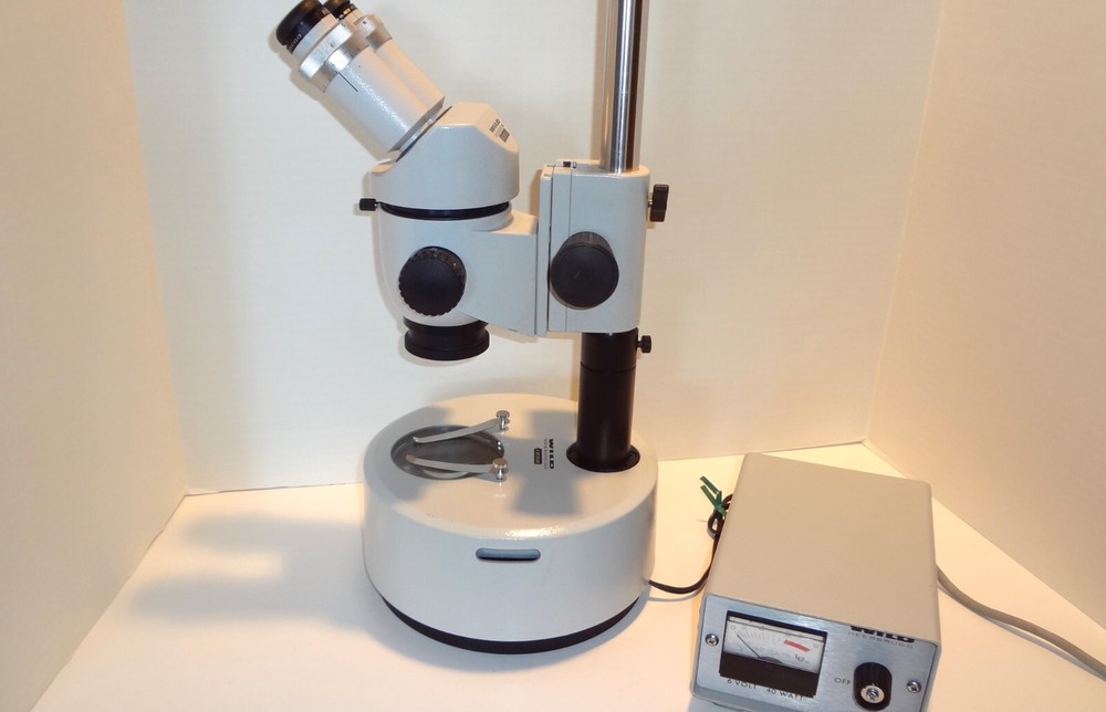 WILD LEICA M3 STEREOMICROSCOPE WITH TRANSMITTED LIGHT BASE **NICE**