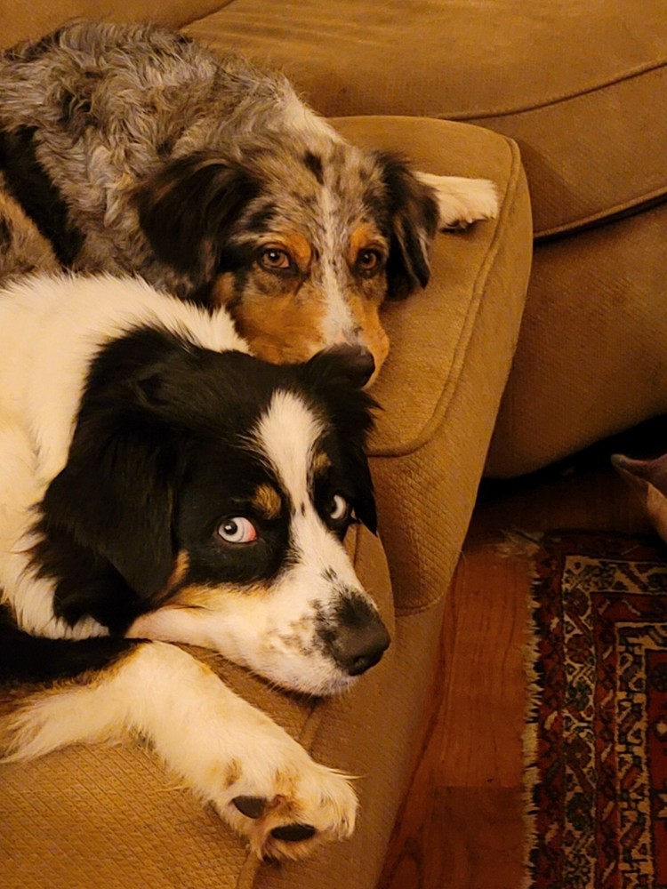 Factory Sealed - A5K-02817 Microsoft SQL Server 2008 R2 Workgroup 5 CAL