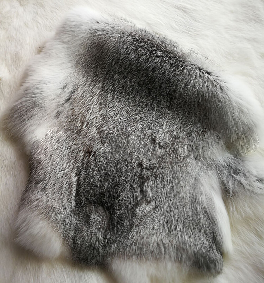 High Quality Soft Natural Gray Rabbit Skin Pelt Real Fur Craft Decro 8-14'' US