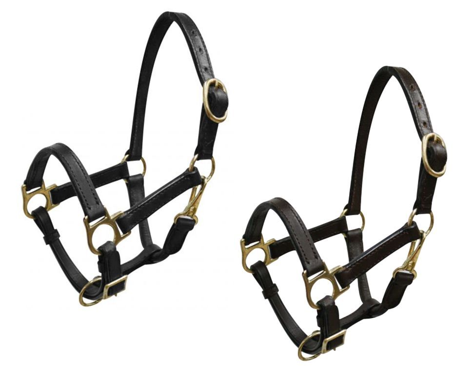 Mini HORSE Size Adjustable LEATHER HALTER with BRASS Hardware