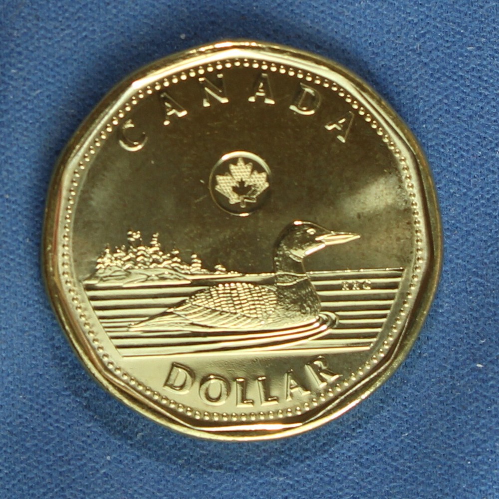 Canada 2013 Loonie (One Dollar) from a Mint Roll