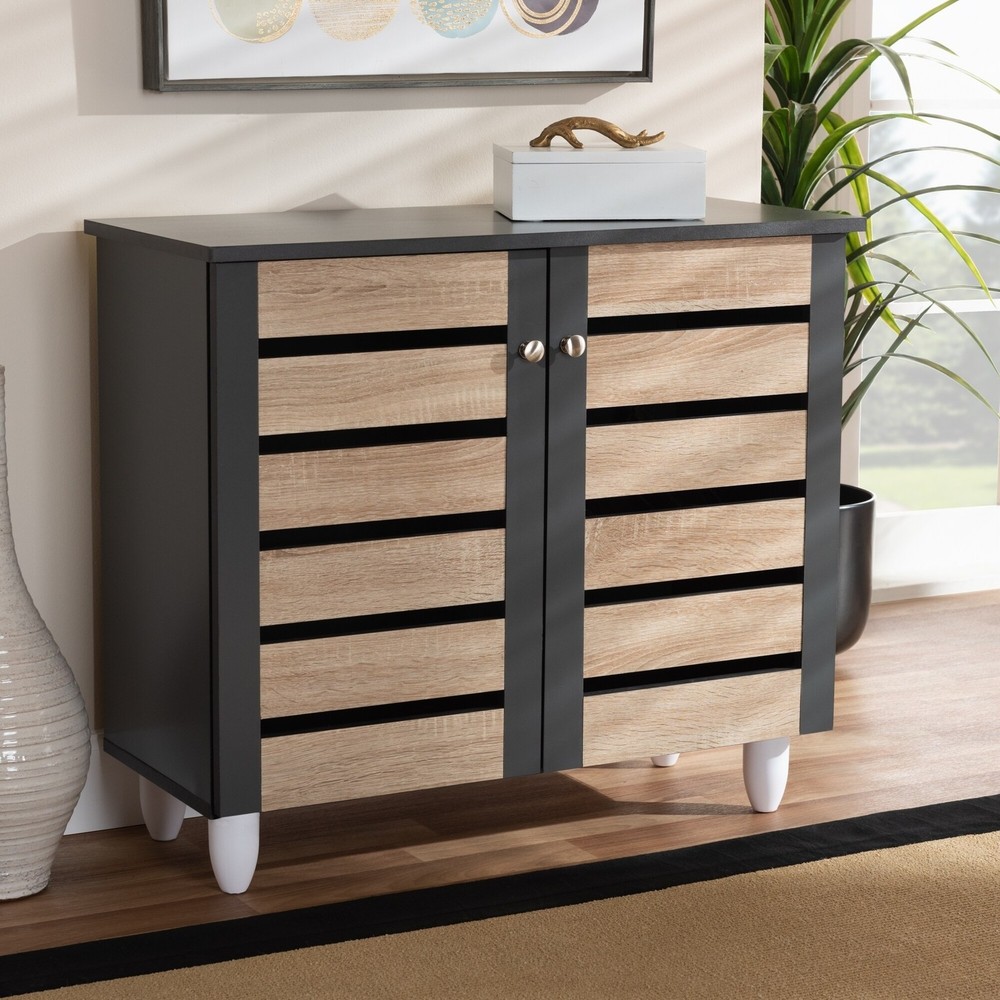 Contemporary Shoe Storage Cabinet