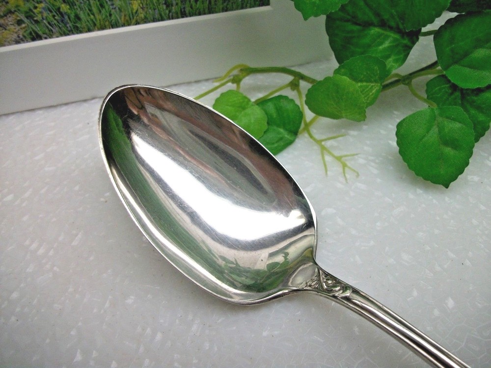Oneida Wm. A. Rogers Rosemary CARLTON Silverplate Solid Serving Spoon 1898