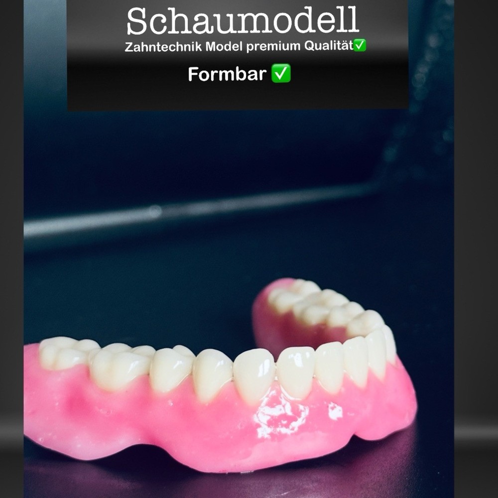 Foam model, teaching model prostheses model dental technology model, tooth