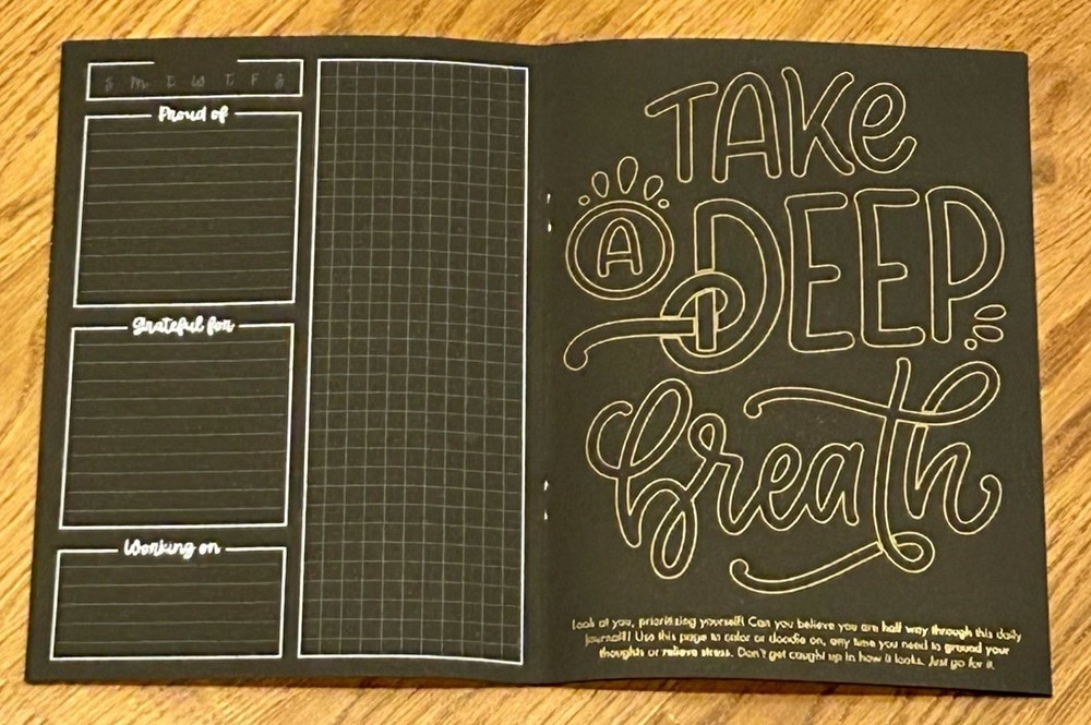 Lights Planner Action Daily Journal Notebook