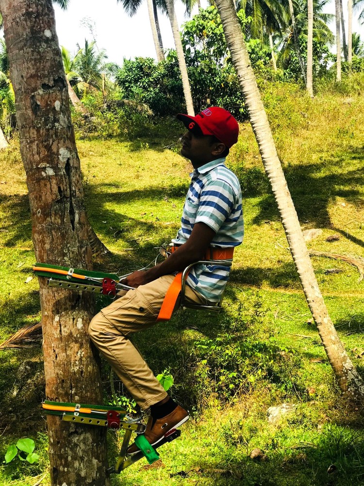 EASY COCONUT TREE Climbing MACHINE TOOL with 100% SAFETY and HIGH QUALITY Quick