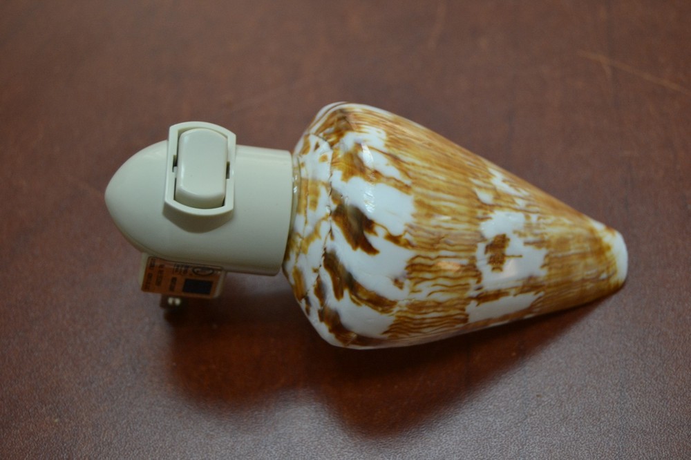 RAT CONE SEA SHELL NIGHT LIGHT BATHROOM KITCHEN #7254