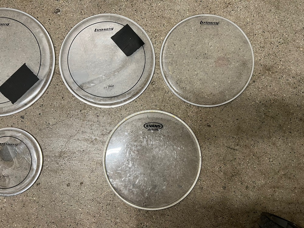 DRUM HEAD LOT LUDWIG EVANS CLEAR