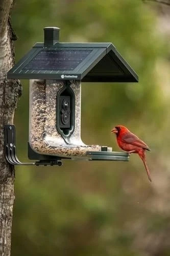 Feathersnap Smart Bird Feeder with AI Bird Identification & HD Camera –...