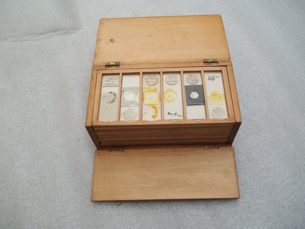 Antique  Glass Microscope Slides