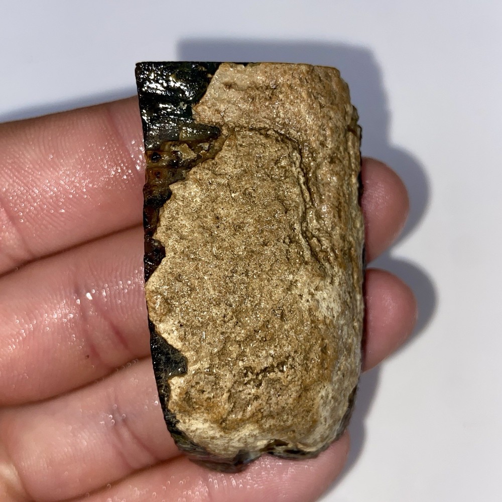 Montana Agate Unique Optical Depth 1.49 Oz