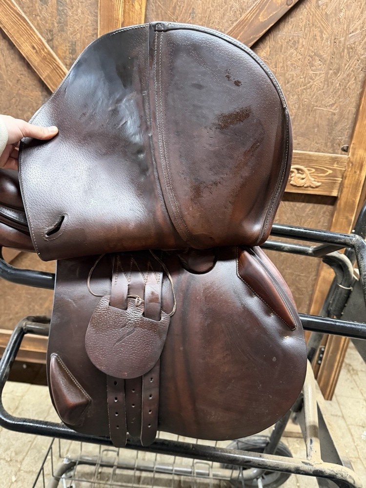 Antares Evolution Close Contact Jump Saddle 17" MW