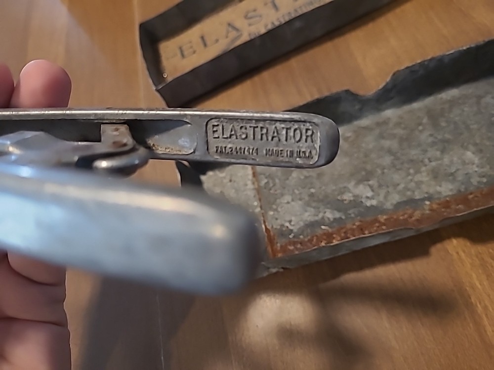 Vintage Elastrator Tool With Original Metal Box