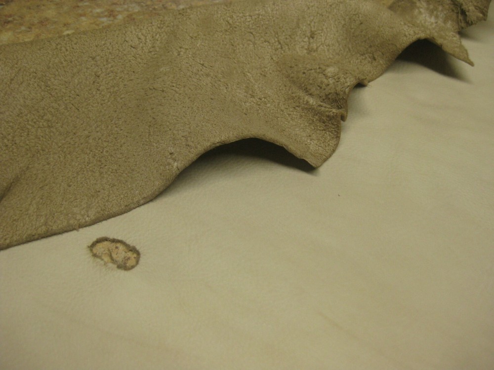 Tanned Deer Leather 0010954 row 13 a