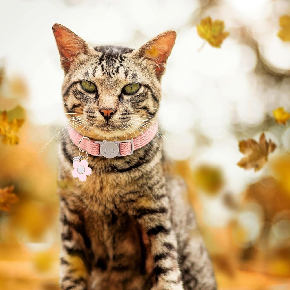 2 Pack Cat Collar with Bells, Corduroy Adjustable Kitten Collars with Breakaw...