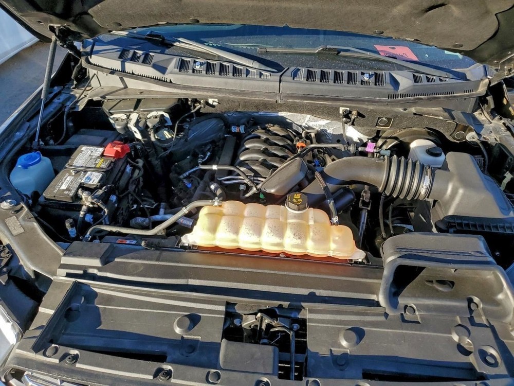 F150 2019 Glove Box 4940296