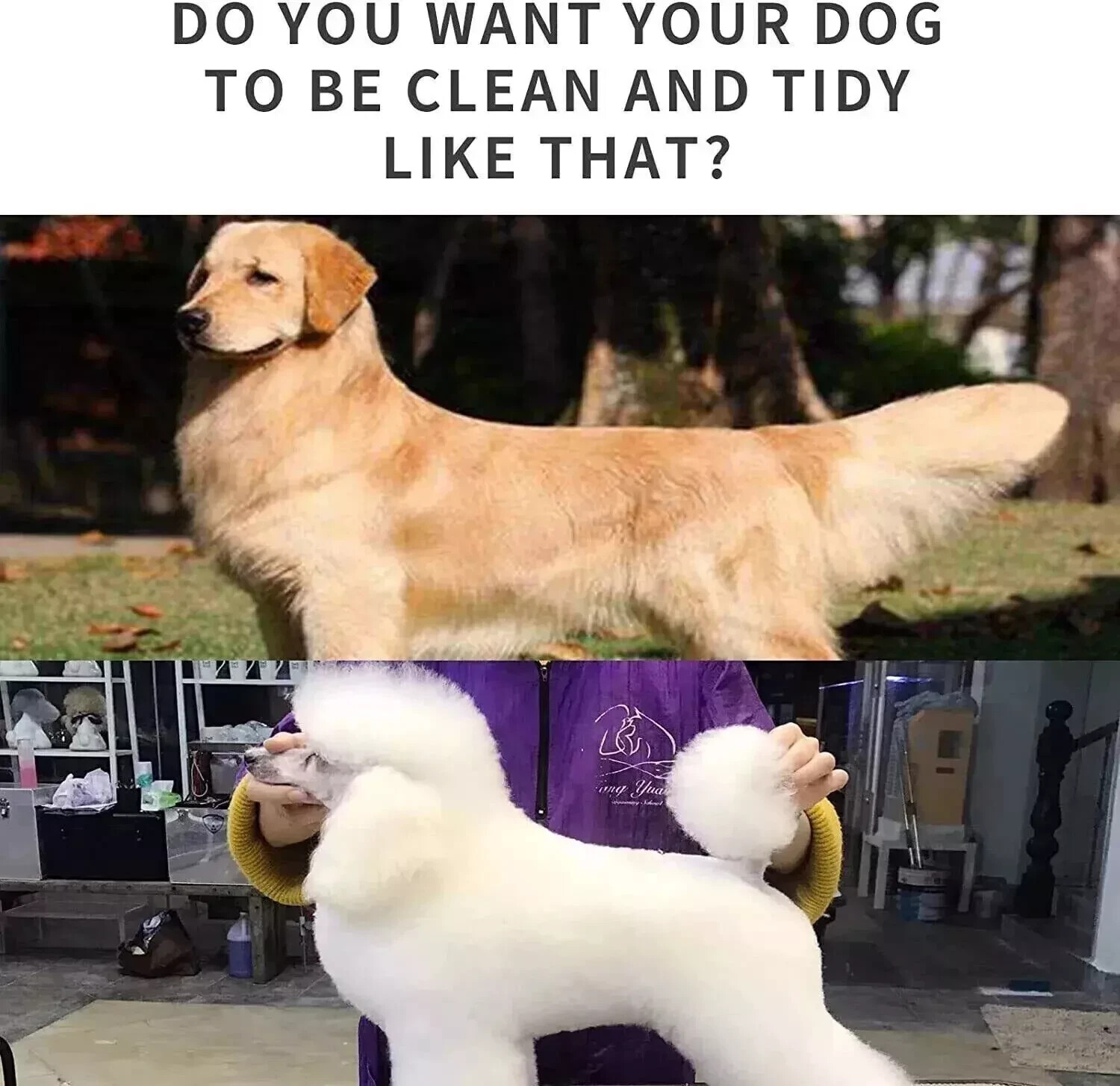 Dog Cat Pet Grooming Kit Rechargeable Cordless Electric Hair Clipper Trimmer Set