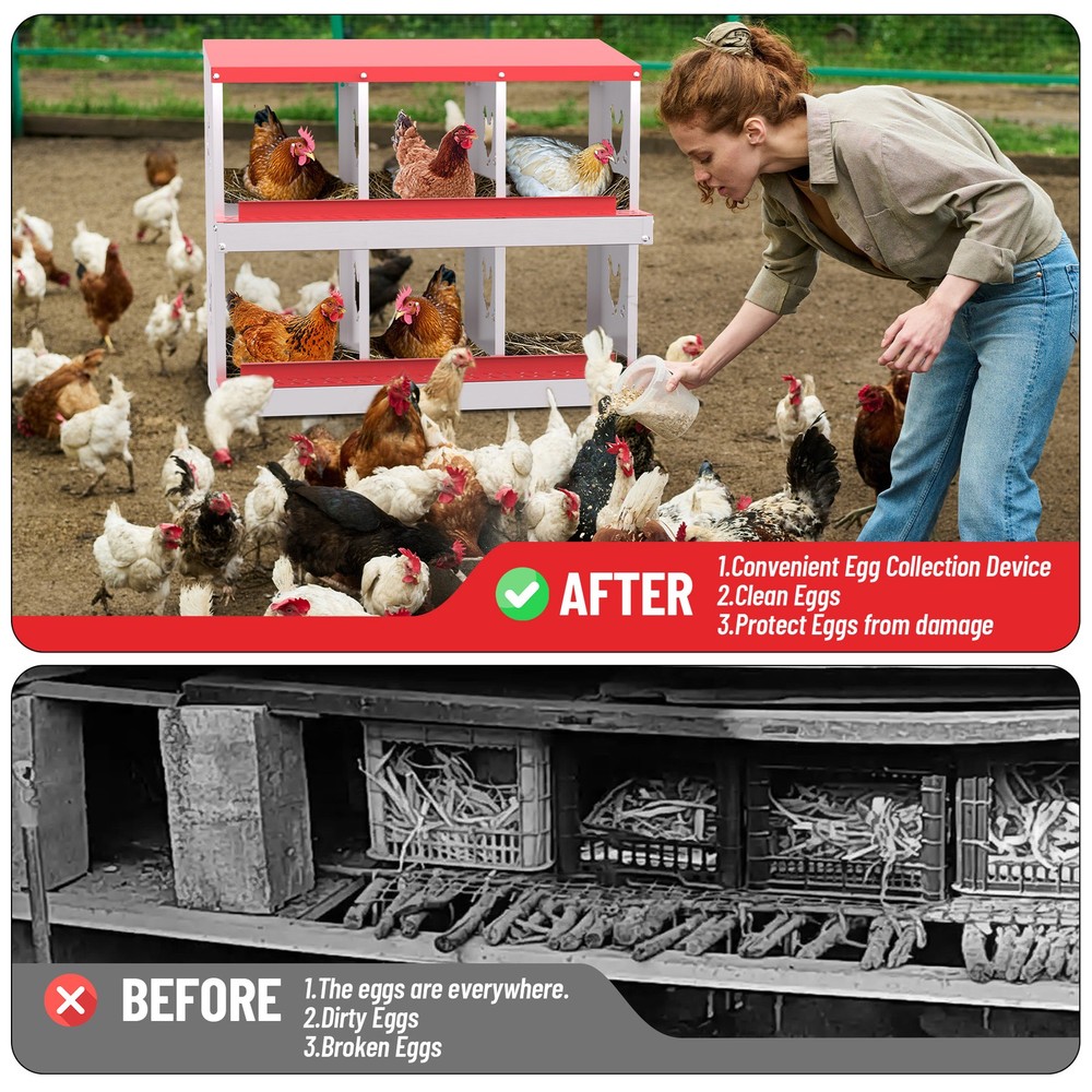 6 Holes Chicken Nesting Box, Metal Chicken Nesting Boxes, with Bracket Legs