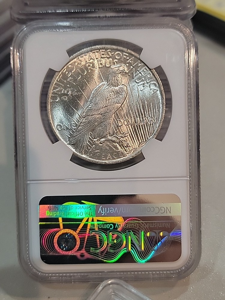 💥1923 PEACE SILVER DOLLAR NGC MS66💥BEAUTIFUL HIGH GRADE