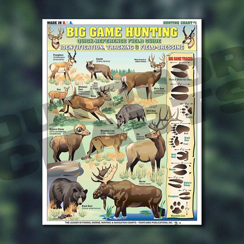 Big Game Hunting Identification Chart #1 - Waterproof Quick Reference Field Guid