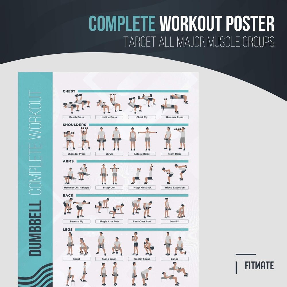 FitMate Dumbbell Workout Exercise Poster - Workout Routine with Free Weights,...
