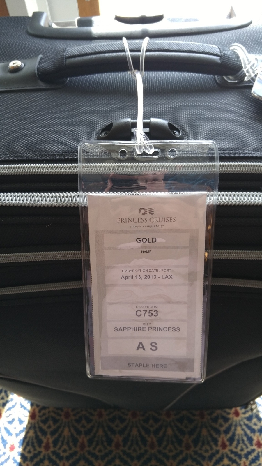 10 Pack - Premium Vinyl Cruise Ship Luggage Tag /eTag Holders with 9" Worm Loops