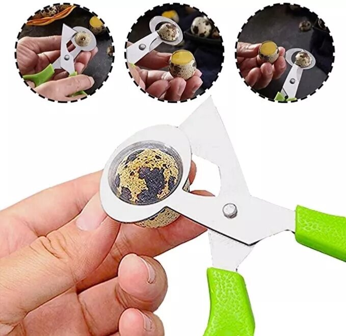 Stainless Steel Quail Egg Scissors Eggshell Opening Divider Scissors Lot