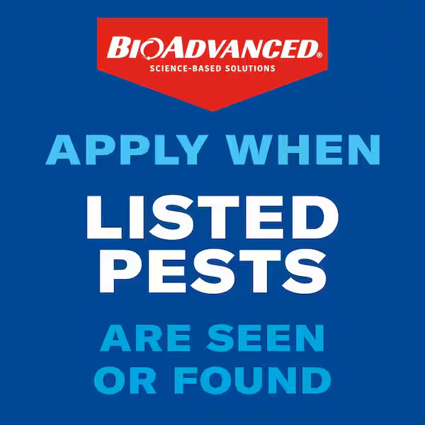 BIOADVANCED Carpenter Ant & Termite Killer Plus Concentrate 40oz. Makes 480 Gal.
