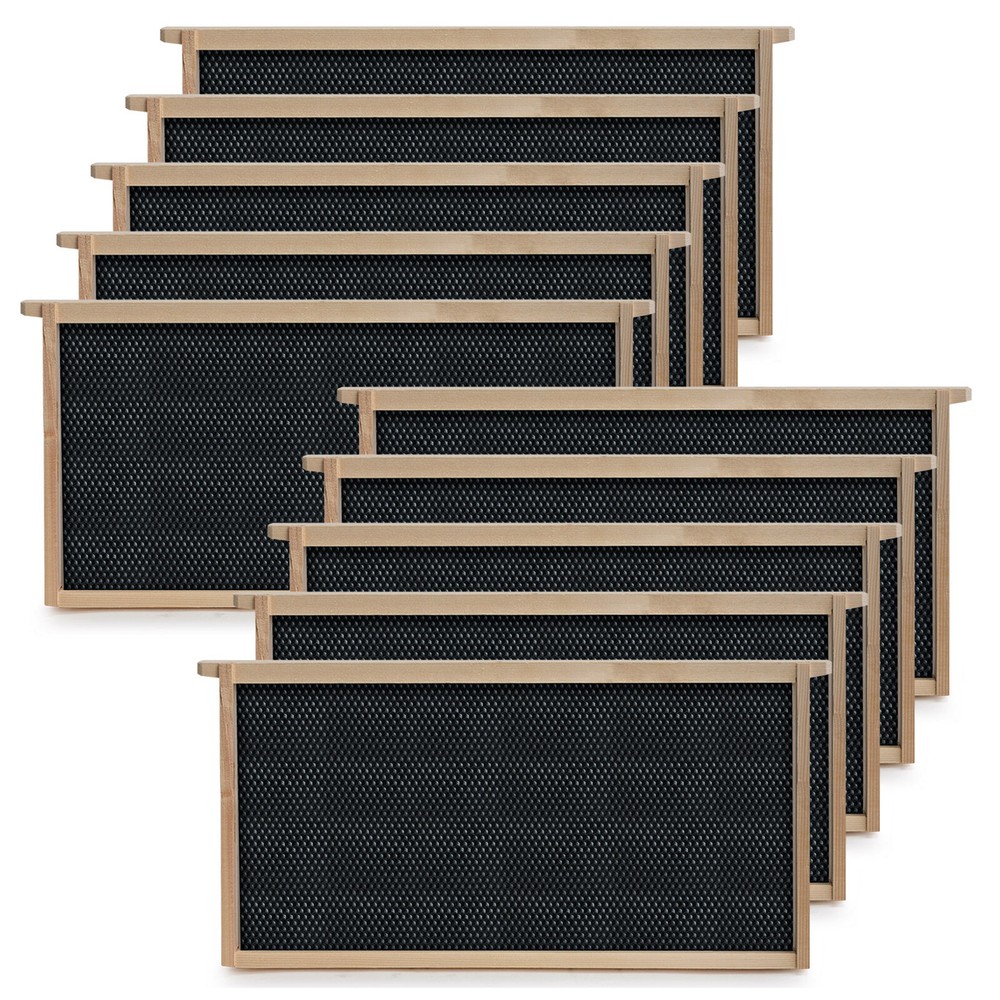 Beehive 10 Frame Add-On Deep Replacement Frames Langstroth Beekeeping
