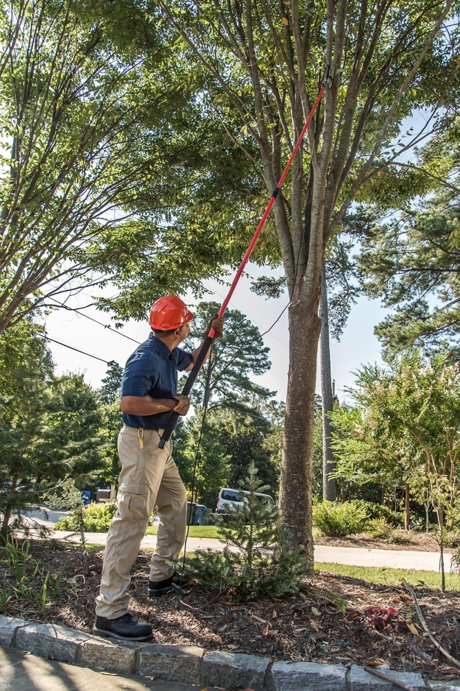 TP 6870 MAX RazorTOOTH DualCOMPOUND Action 14-ft. Tree Pruner