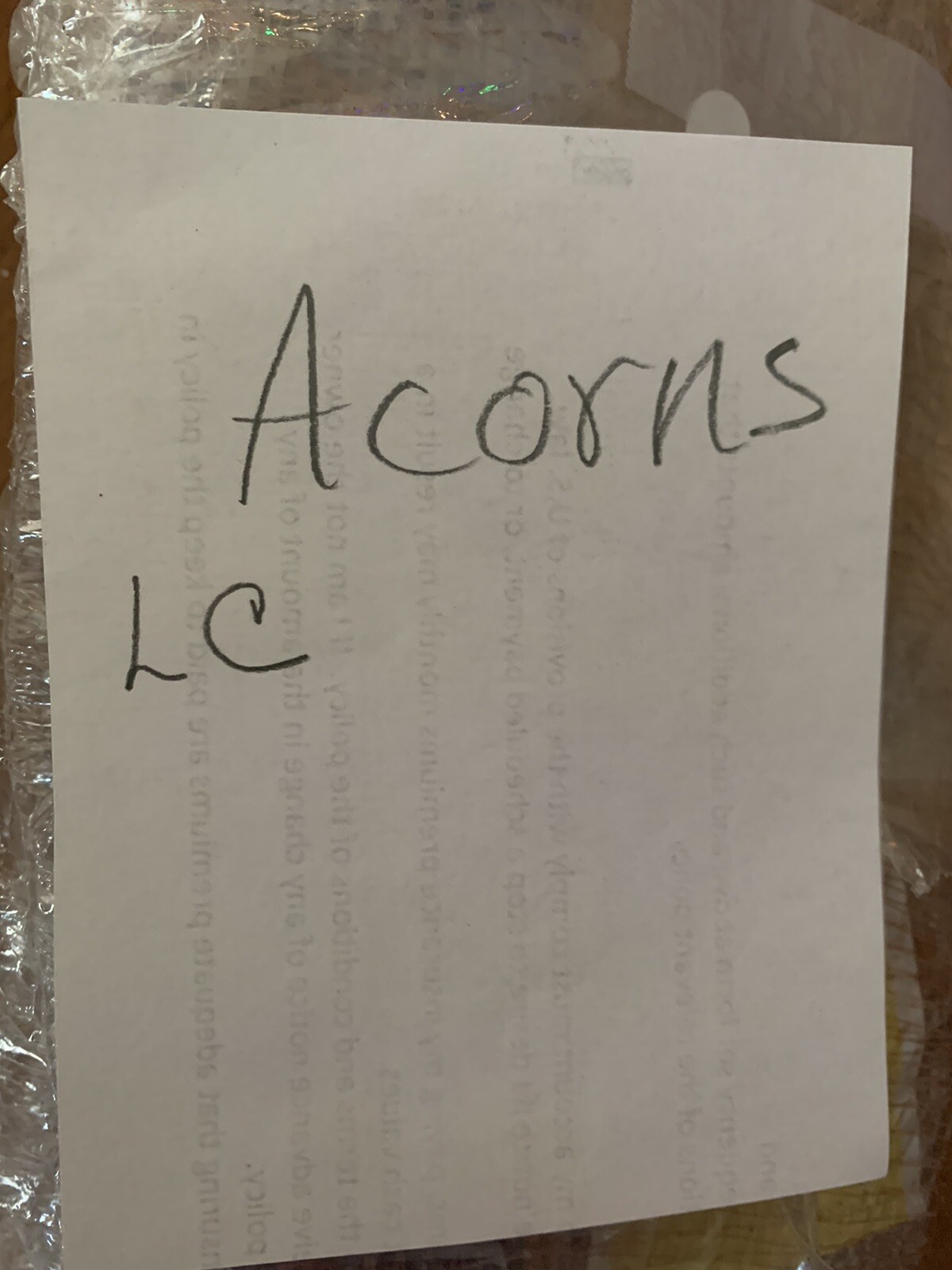 Over 60 dried acorns With caps for crafts, Real acorns, Dried Treated