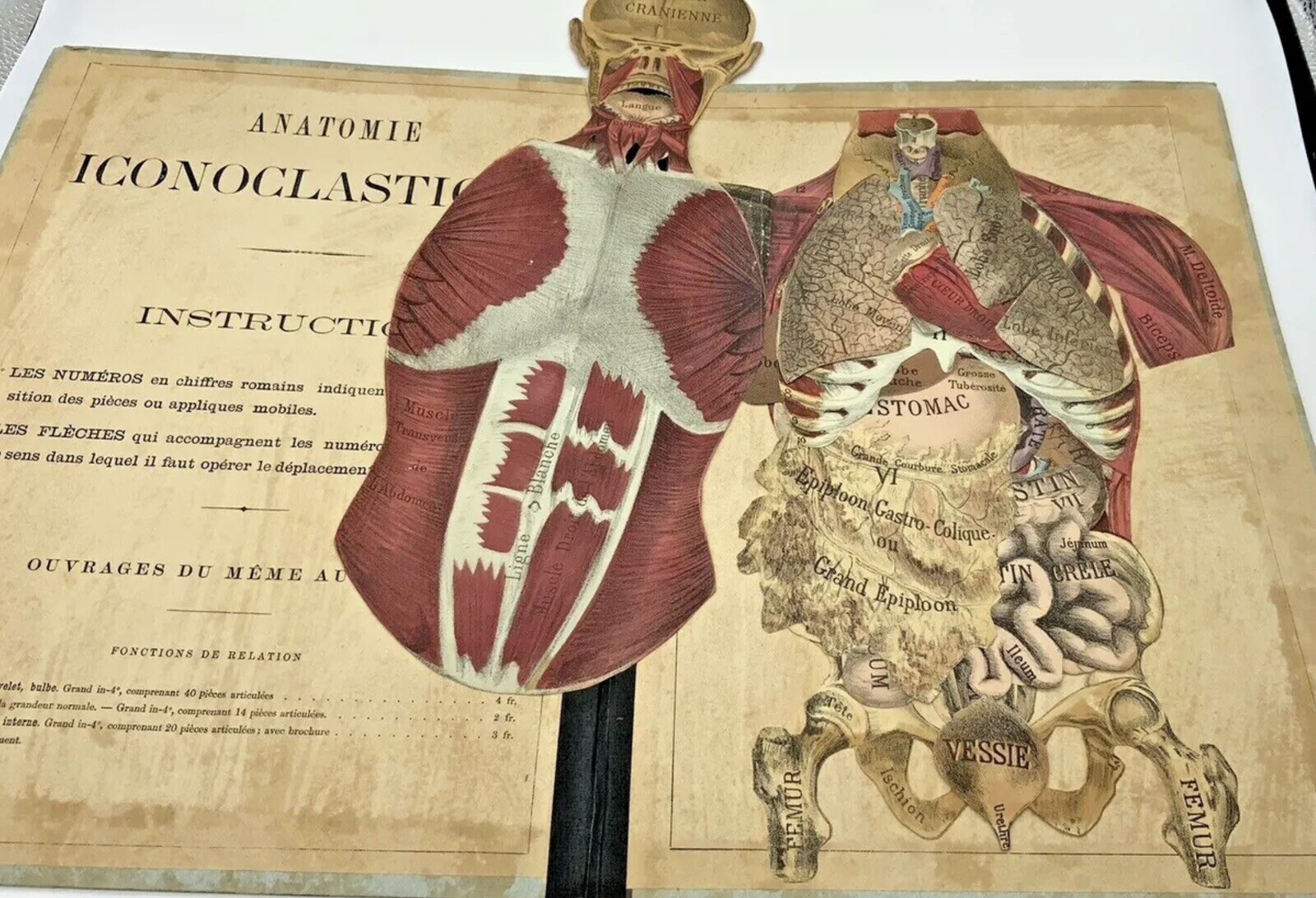 French Medical Human Anatomy Diagram Pop-up Book c 1875, G.J. Witkoski, Rare