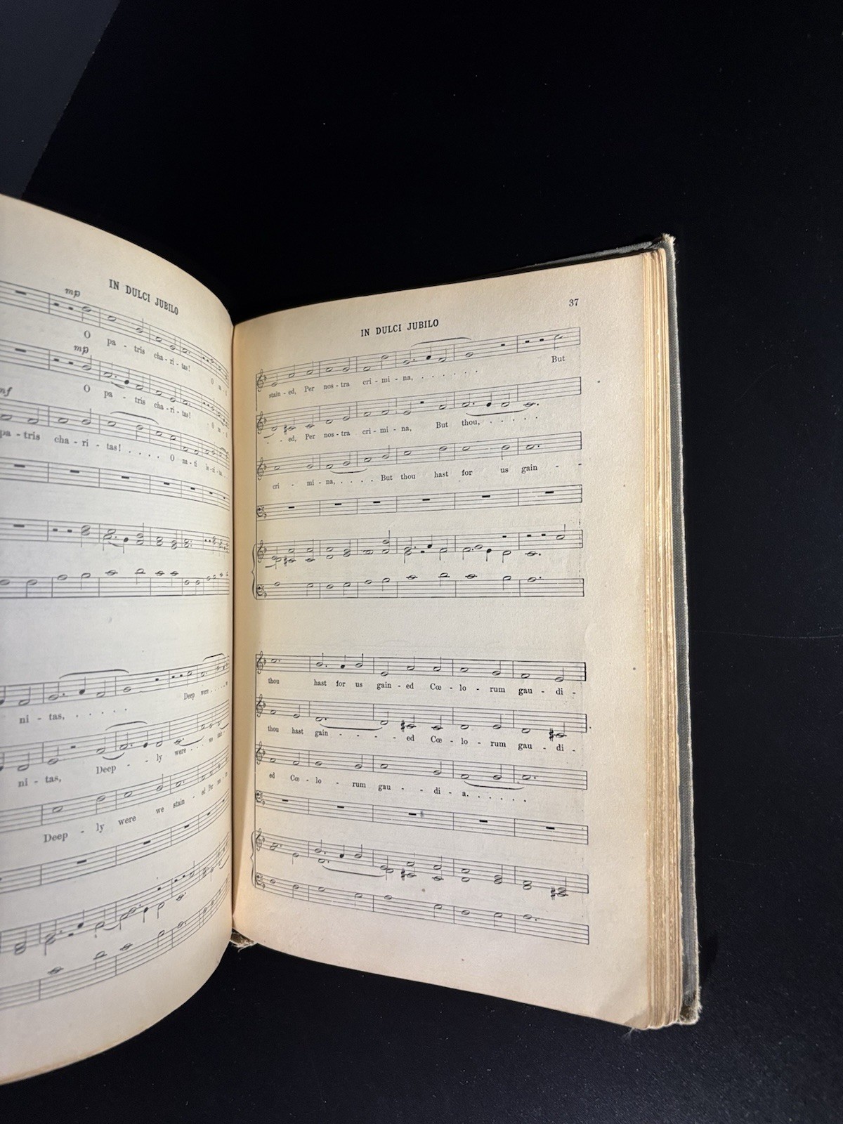 Christmas Carols and Hymns Sheet Music Book by Hollis Dann 1937 Edition