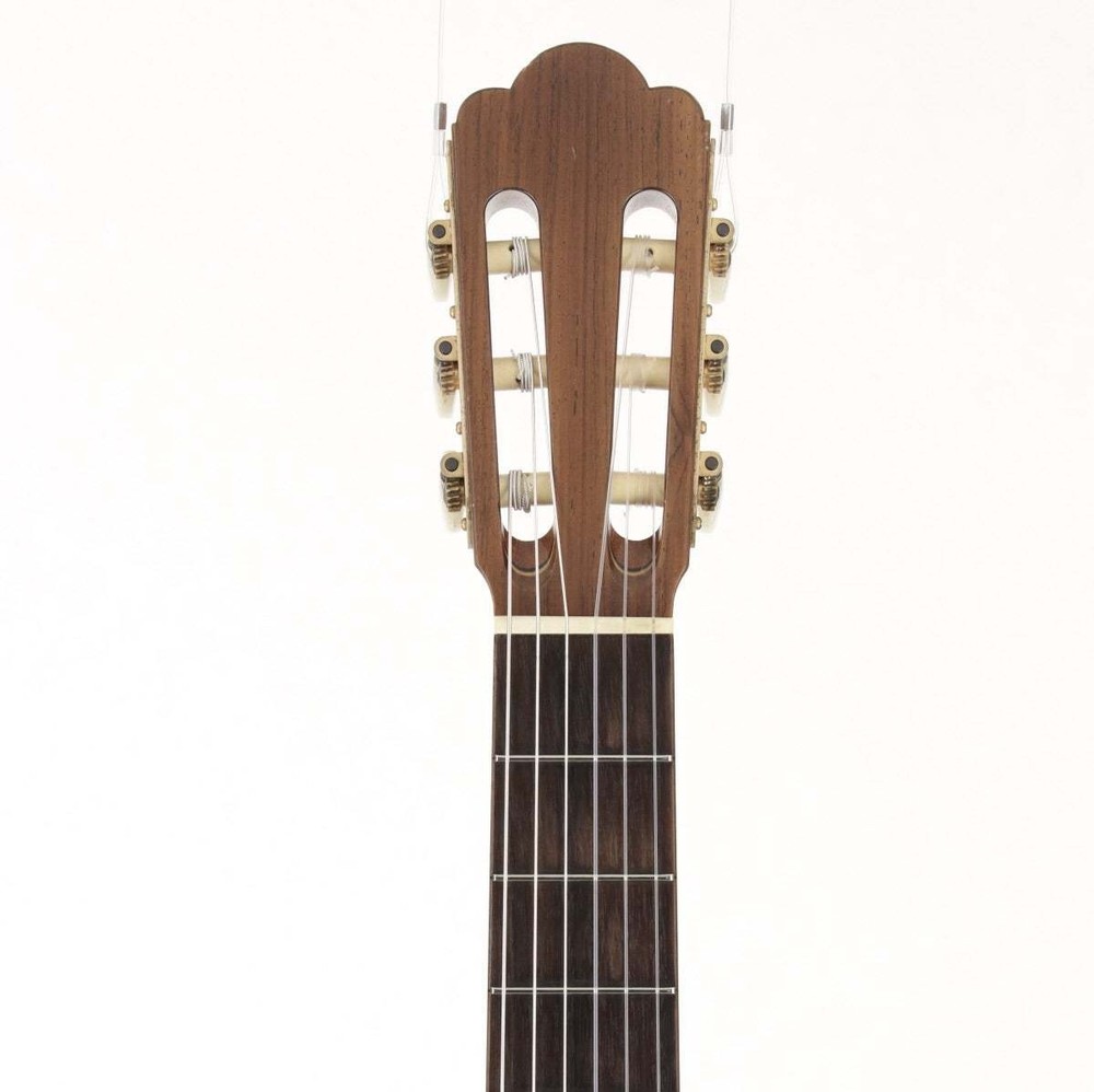 Asturias Classical Guitar with Hard Case