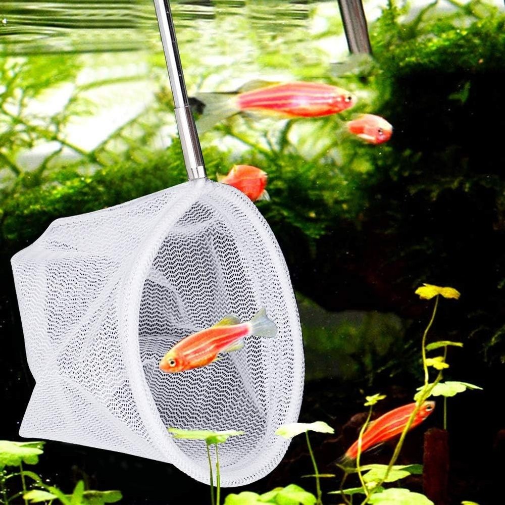 01 Fishing Net, Catch Long Handled Net Retractable Red