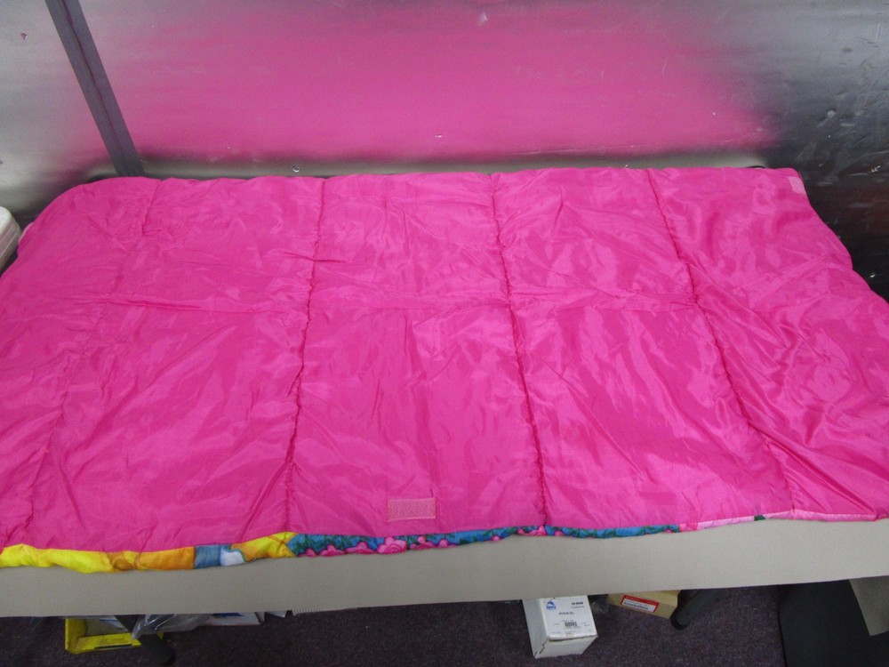 Disney Princess Sleeping Bag