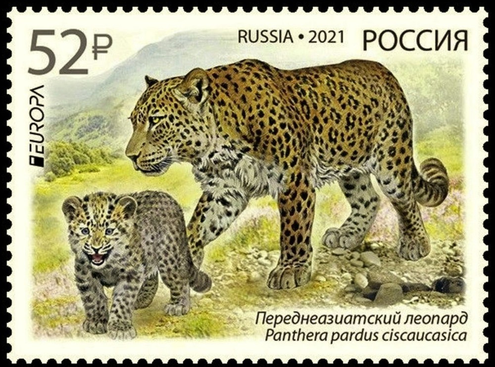 RUSSIA 2021 Europa CEPT. Endangered National Wildlife - MNH