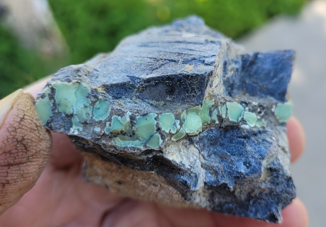 Nice Variscite Rough, Layer in Black Shale Matrix