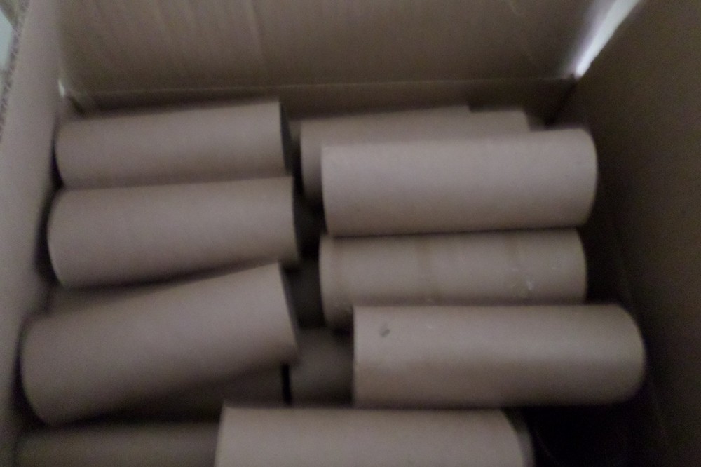 empty toilet paper rolls