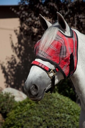 Kensington Fly Mask with Webbing Trim