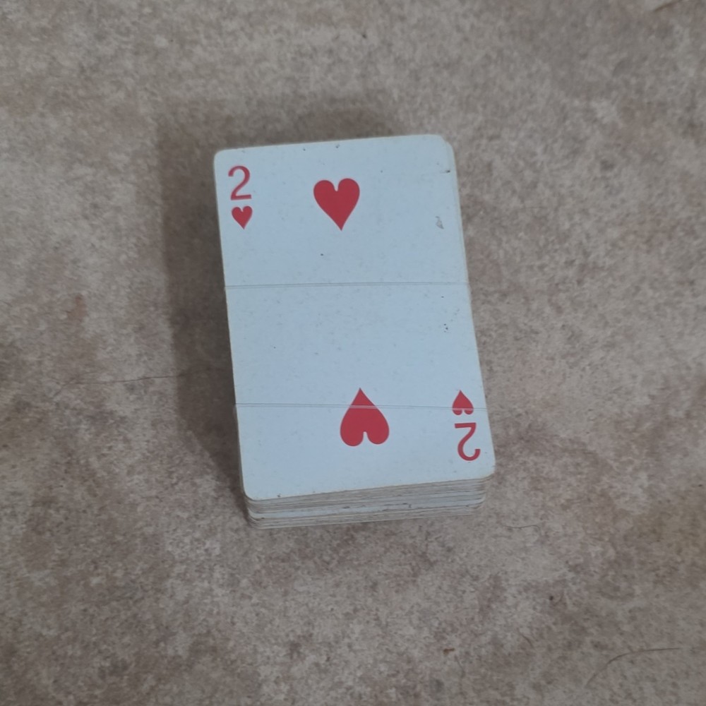 Vintage Playing Card Deck with Illustrated Back