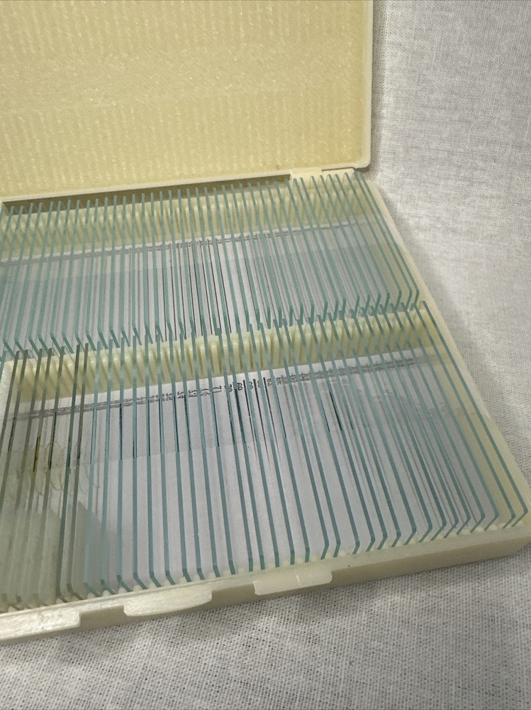 80 Blank Microscope Slides 8 Prepared Specimen Slides 100 Round Cover Slips Kit