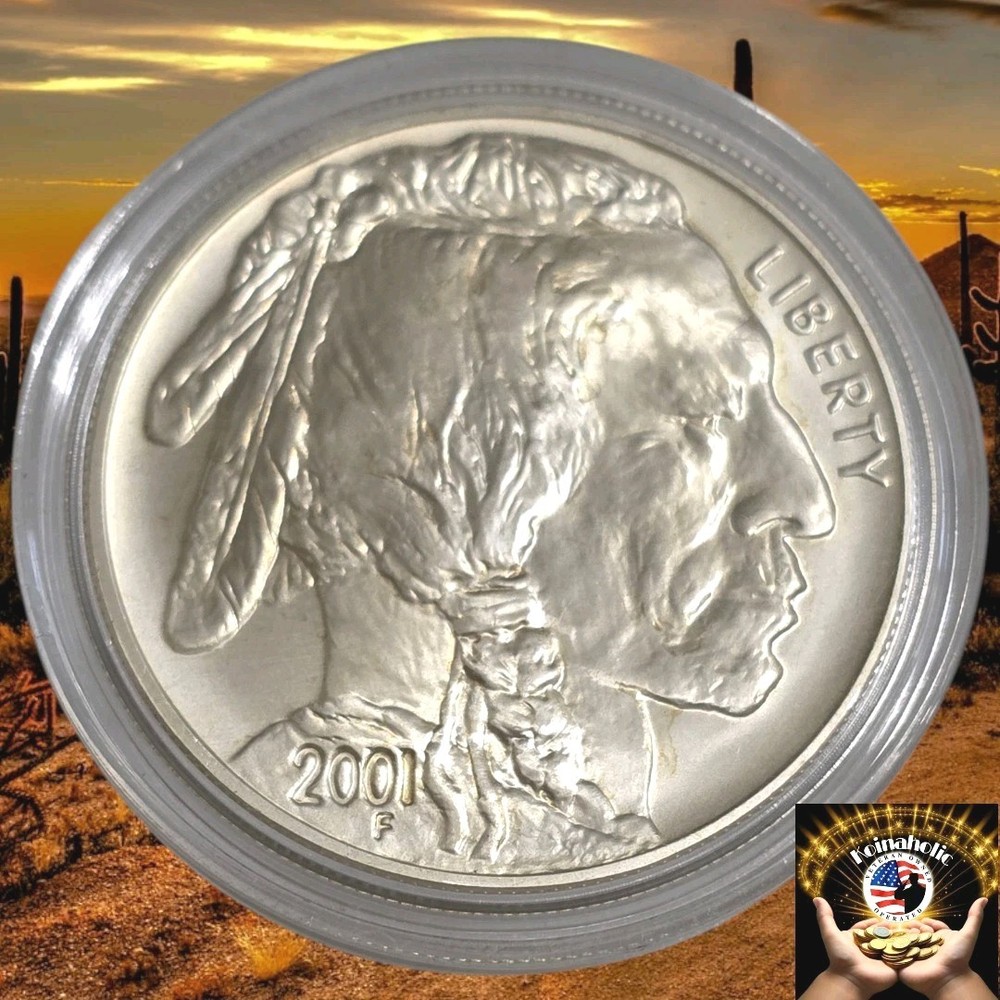 2001 D Buffalo 90% Silver Commemorative $1 Pulled From Storage 🔥