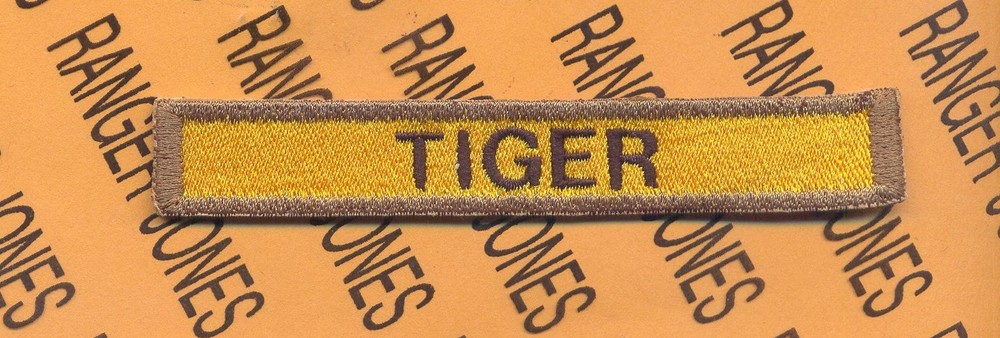 TIGER 10th Armored Division Armor Tank ~4" tab patch c/e