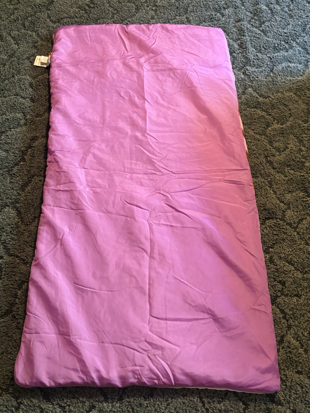 Dora The Explorer VTG Sleeping Bag True Princess Bright Colors 30 By 57 E