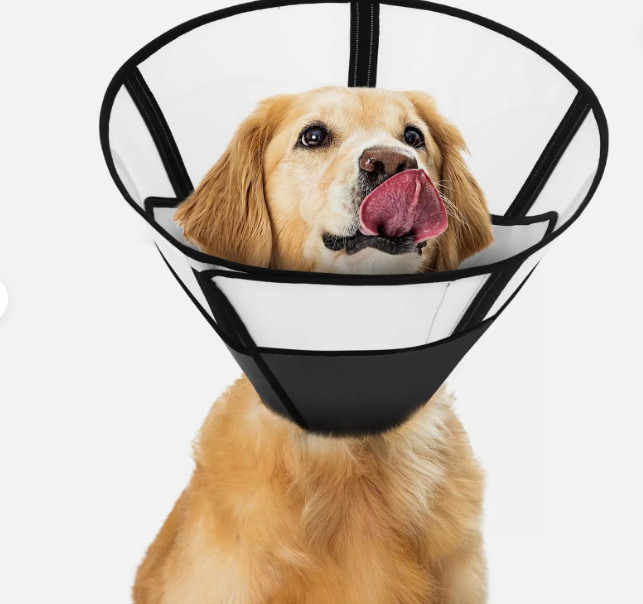 Comfortable Soft Cone Collar After Surgery for Small/Medium Dog