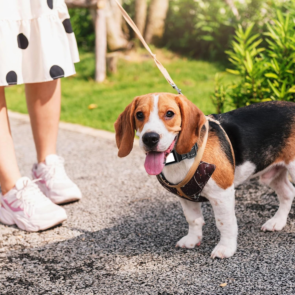 Replacement Collar for Shock Collar Replacement Strap E Collars Replacements Str
